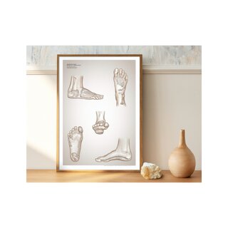 Affiche de réflexologie