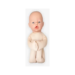 Modèle foetal B - Modèle anatomique
