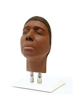 Modèle de formation de tête pour les injections faciales, version C