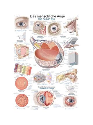 Affiche L'oeil humain, 50x70cm