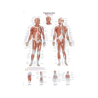 Tableau de points de déclenchement, 2 tailles