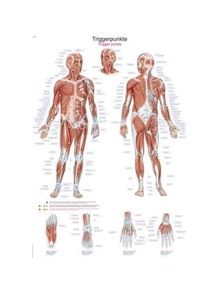 Tableau de points de déclenchement, 2 tailles