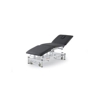 Table de traitement électrique à 3 sections, Brom