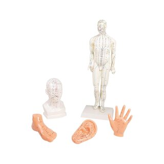 Coffret d'acupuncture chinoise, 5 modèles