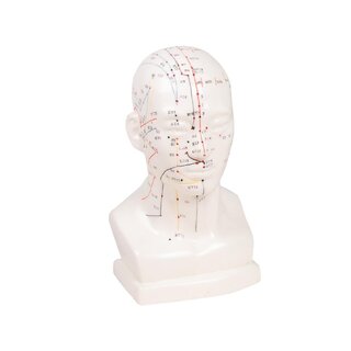 Tête d'acupuncture chinoise