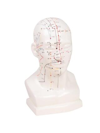 Tête d'acupuncture chinoise