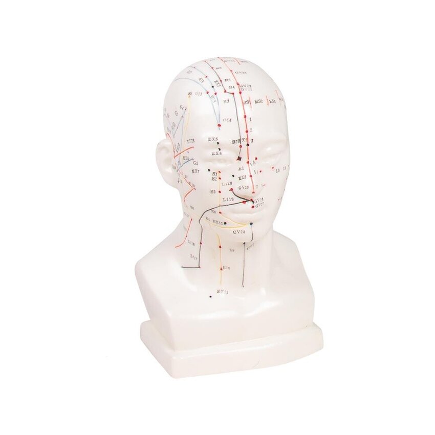 Tête d'acupuncture chinoise