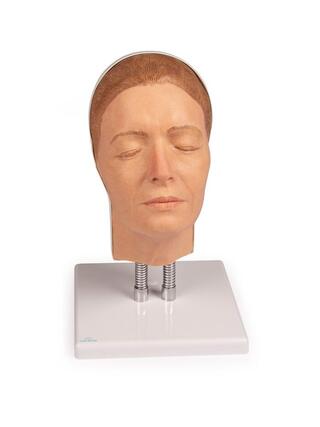 Modèle de formation de tête pour les injections faciales, version A