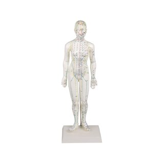 Figure d'acupuncture chinoise, femme