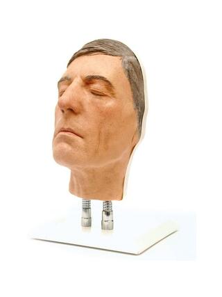Modèle de tête pour l'entraînement aux injections faciales, version D