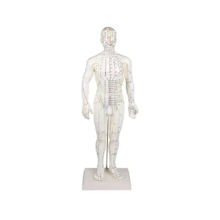 Figure d'acupuncture chinoise, homme