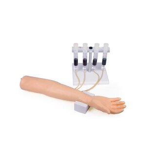 Modèle de bras d'injection pour injection intraveineuse et perfusion
