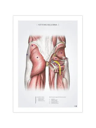 Le support fessier 50x70mm