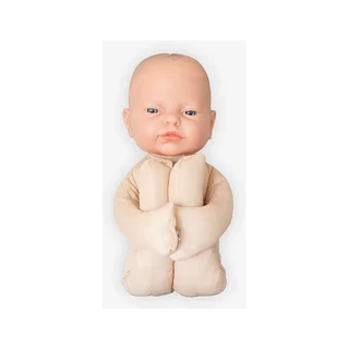 Modèle foetal Modèle anatomique