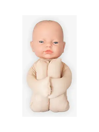 Modèle foetal Modèle anatomique