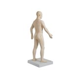 Modèle d'acupuncture 70 cm pour usage professionnel