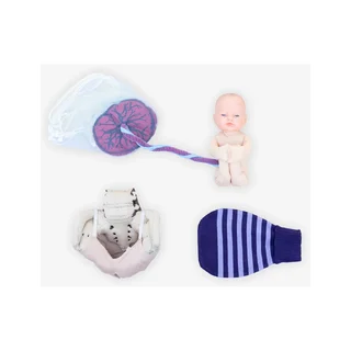 Pack de formation 1A pour sages-femmes - Modèle foetal - Blanc
