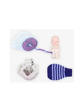 Pack de formation 1A pour sages-femmes - Modèle foetal - Blanc