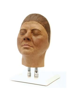 Modèle de tête pour l'entraînement aux injections faciales, version F