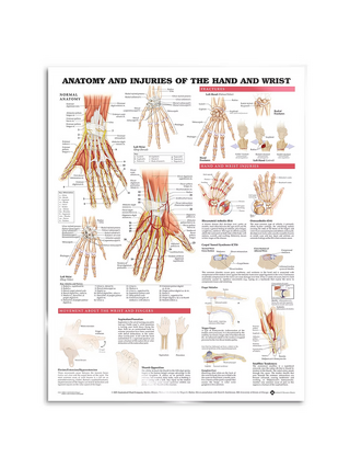 Affiche - Anatomie et pathologie de la main et du poignet