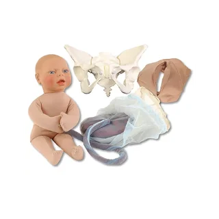 Modèle de naissance réduit pour l'enseignement