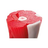 Modèle de genou avec muscle en 12 parties