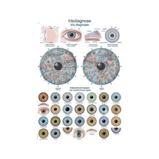 Diagramme de diagnostic de l'iris, tableau d'anatomie 50x70cm